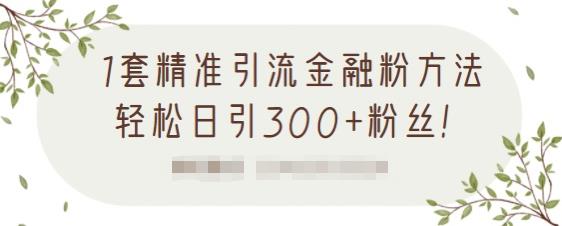 1套精准引流金融粉方法，轻松日引300+粉丝-无痕资源库