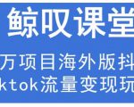 鲸叹号·海外TIKTOK训练营，百万项目海外版抖音tiktok流量变现玩法-无痕资源库