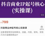 抖音商业IP起号核心实操课，带你玩转算法，流量，内容，架构，变现-无痕资源库