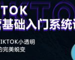 Tiktok实操进阶课程，体验从tiktok小透明到大佬的完美蜕变-无痕资源库