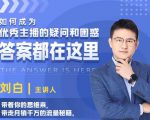 如何成为优秀主播的疑问和困惑，答案都在这里【视频课程】-无痕资源库