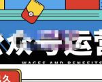 零零已久·从0-1运营公众号,零基础小白也能上手,系统性了解公众号运营-无痕资源库