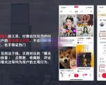 麦子互娱短视频带货·0基础做好物分享账号，无需出镜无需货源无需拍摄-无痕资源库