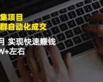 虚拟图集项目：矩阵站群自动化成交，3-5个月实现快速赚钱月入1W+左右-无痕资源库