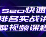 seo快速排名实战讲解视频课程，揭秘seo快排原理-无痕资源库