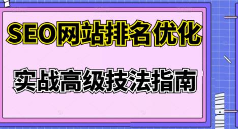 樊天华·SEO网站排名优化实战高级技法指南，让客户找到你-无痕资源库