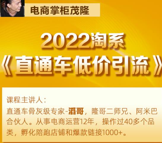 茂隆2022直通车低价引流玩法,教大家如何低投入高回报的直通车玩法-无痕资源库
