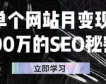 单个网站月变现100万的SEO秘密，百分百做出赚钱站点-无痕资源库
