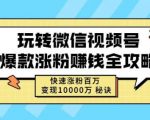 玩转微信视频号爆款涨粉赚钱全攻略，快速涨粉百万变现万元秘诀-无痕资源库