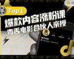 【毒舌电影合伙人亲授】抖音爆款内容涨粉课，5000万抖音大号首次披露涨粉机密-无痕资源库