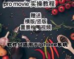 漆十二美食摄影，25​节promovie实操高手课节-无痕资源库