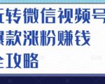 玩转微信视频号爆款涨粉赚钱全攻略,让你快速抓住流量风口,收获红利财富-无痕资源库