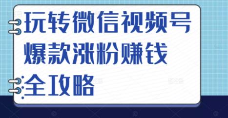 玩转微信视频号爆款涨粉赚钱全攻略，让你快速抓住流量风口，收获红利财富-无痕资源库