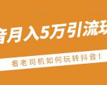 老古董·抖音月入5万引流玩法，看看老司机如何玩转抖音(附赠：抖音另类引流思路)-无痕资源库