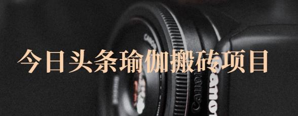 猎人社区·今日头条瑜伽搬砖项目，单号一天几十收入，可以批量操作！-无痕资源库