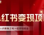 渣圈学苑·小红书虚拟资源变现项目，一起捞钱掘金价值1099元-无痕资源库