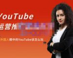 外国人眼中的YouTube该怎么玩？Elisa·YouTube运营推广实战技巧-无痕资源库