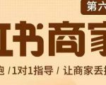 贾真-小红书商家营第6期商家版，21天带货陪跑课，让商家丢掉付流量-无痕资源库