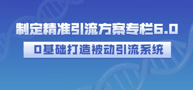 制定精准引流方案专栏6.0,0基础打造被动引流系统-无痕资源库
