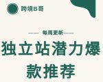 【跨境B哥】独立站潜力爆款选品推荐，测款出单率高达百分之80-无痕资源库