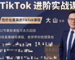 大山老师TikTok进阶实战课：账号详解，流量运营，实战变现，助力你成功出海-无痕资源库