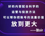 张sir账号流量增长课，告别海王流量，让你的流量更精准-无痕资源库
