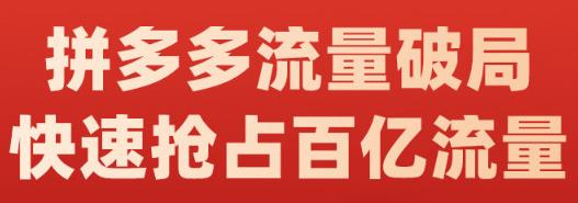 阿杰·拼多多流量破局:如何打黑标，爆款的思路，拼多多流量框架，快速抢占百亿流量-无痕资源库