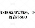 王通·抖音SEO落地实战班,手手带你做好音抖SEO-无痕资源库