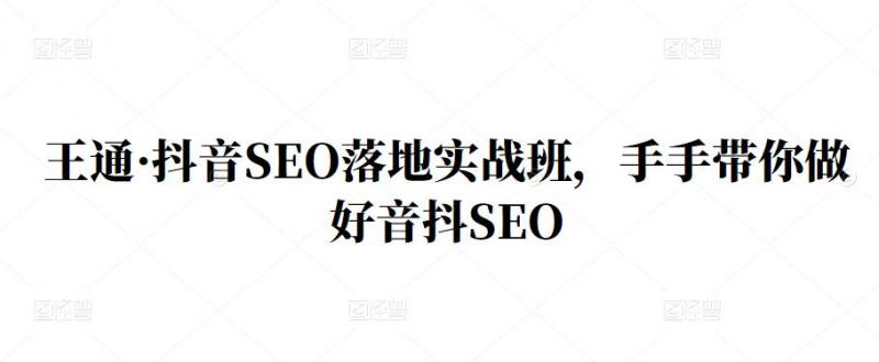 王通·抖音SEO落地实战班,手手带你做好音抖SEO-无痕资源库