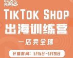 疯人院:TikTok Shop出海训练营（一店卖全球)，出海抢占全球新流量-无痕资源库