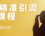 soul精准引流系列课程,每天引流100精准粉-无痕资源库
