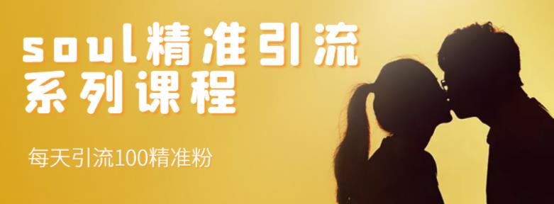 soul精准引流系列课程，每天引流100精准粉-无痕资源库