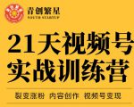 张萌21天视频号实战训练营，裂变涨粉、内容创作、视频号变现 价值298元-无痕资源库