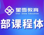 星雪教育淘系高级班，更全的运营提升方案，零基础由浅入深，店铺最新玩法-无痕资源库