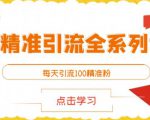 闲鱼精准引流全系列课程，每天引流100精准粉【视频课程】-无痕资源库