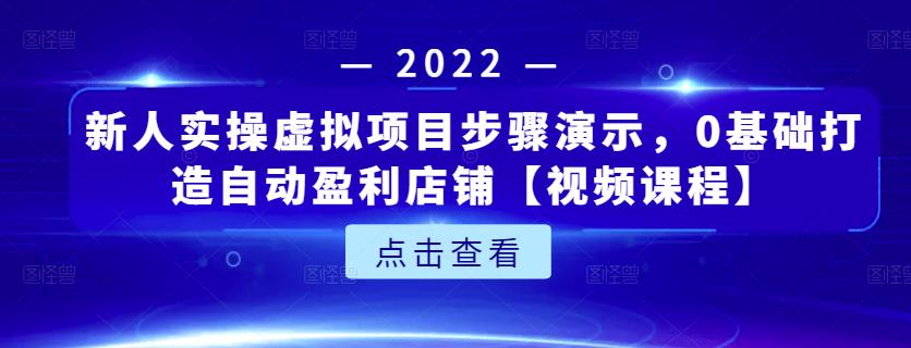 新人实操虚拟项目步骤演示,0基础打造自动盈利店铺【视频课程】-无痕资源库
