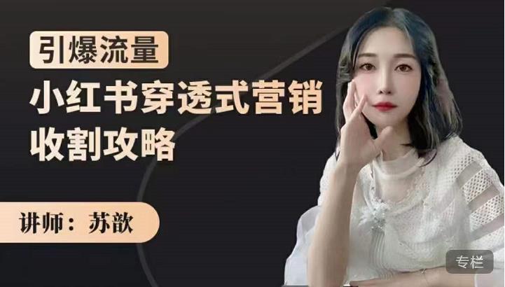 苏歆:小红书穿透式营销收割攻略,引爆流量,助你玩转小红书-无痕资源库