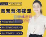 2022淘宝蓝海截流攻略，淘宝蓝海截流选品上货实操讲解-无痕资源库