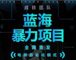 引流哥蓝海暴力躺赚项目：无需发圈无需引流无需售后，每单赚50-500（教程+线报群)-无痕资源库