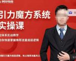 阿呆-引力魔方系统实操课，全体系实战教学，助你快速掌握推荐流量底层逻辑-无痕资源库