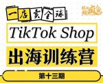 TikTokShop出海训练营（第十三期），打开全球流量新思维，出海抢占全球新流量，一店卖全球-无痕资源库
