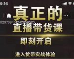 李扭扭超硬核的直播带货课，零粉丝快速引爆抖音直播带货-无痕资源库