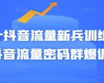 Peter抖音流量新兵训练营-破解抖音流量密码群爆训练营(新兵)-无痕资源库