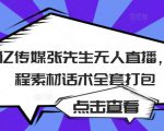 聚亿传媒张先生无人直播，教程素材话术全套打包-无痕资源库
