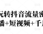 2022玩转抖音流量密码，(直播+短视频+千川)-无痕资源库