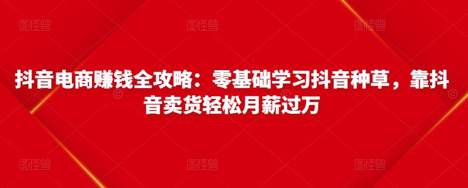 抖音电商赚钱全攻略：零基础学习抖音种草，靠抖音卖货轻松月薪过万-无痕资源库