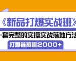 凌童《新品打爆实战班》,一套完整的实操实战落地方法，打爆链接超2000+（28节课)-无痕资源库