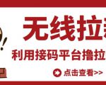 最新接码无限拉新项目，利用接码平台赚拉新平台差价，轻松日赚500+-无痕资源库