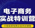 民赛电气内部出品：电子商务实战特训营，全方位带你入门电商，308种方式玩转电商-无痕资源库