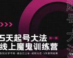 大播·五天起号魔鬼训练营，告别光学不练，逼自己上车，成败与否，5天拿到结果-无痕资源库